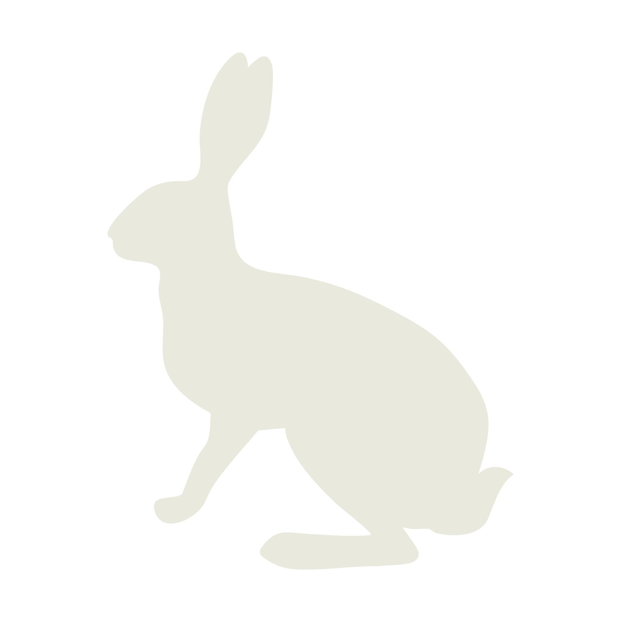 rabbit white icon